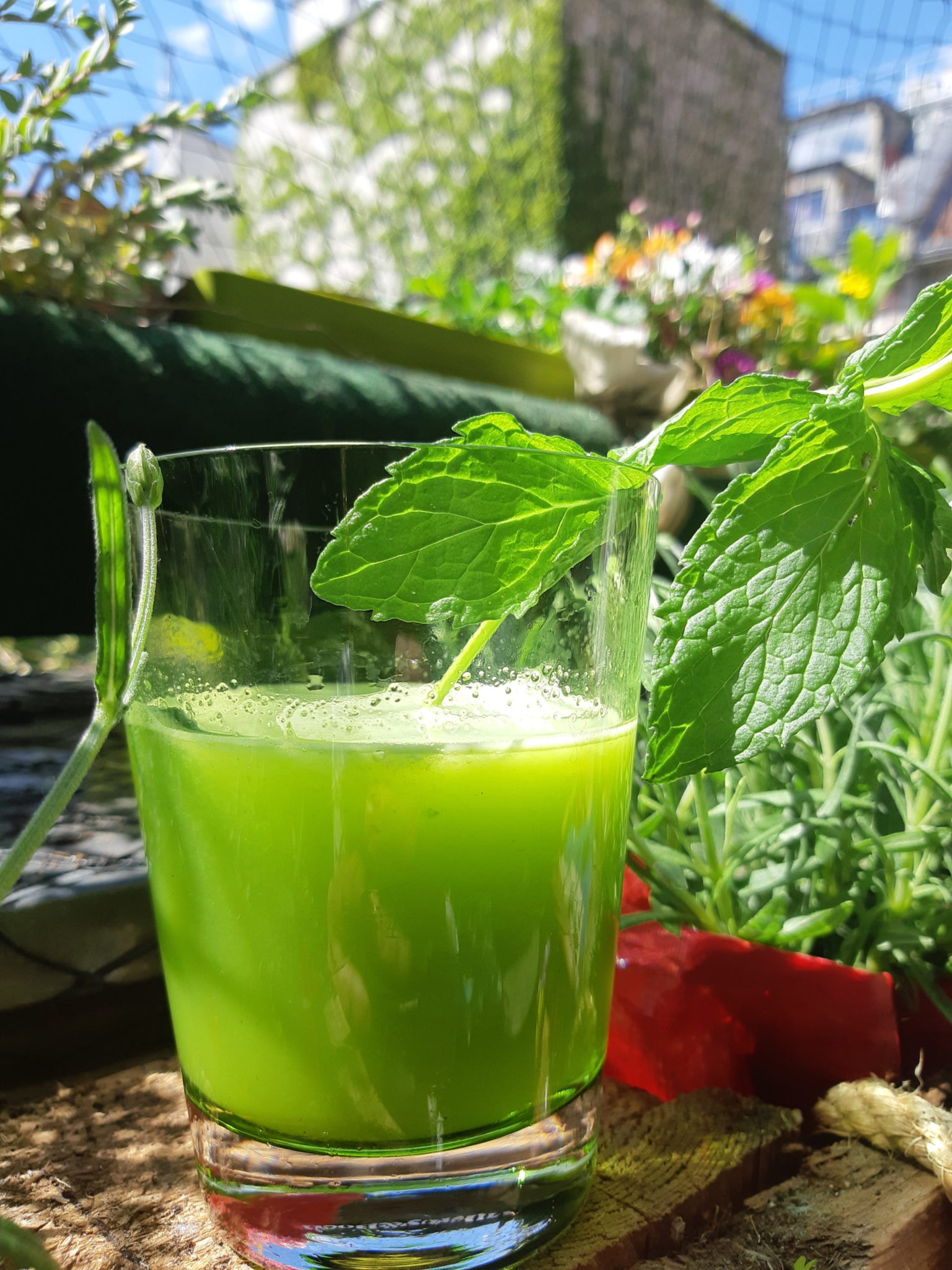 Grüner Saft, einfach und gut mit Stangensellerie